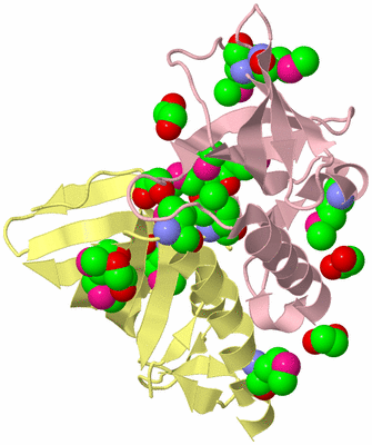 Image Biological Unit 3