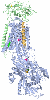 Image Biological Unit 1