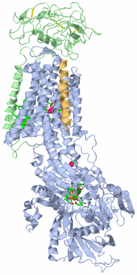 Image Biol. Unit 1 - sites