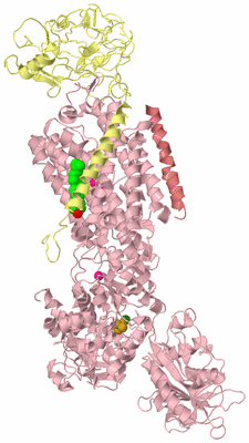 Image Biological Unit 2