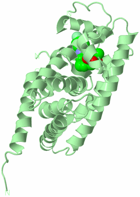 Image Biological Unit 3