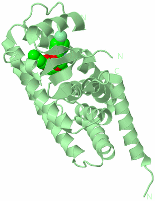 Image Biological Unit 3