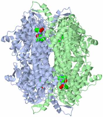 Image Biological Unit 2