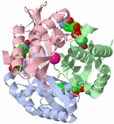 Image Asym./Biol. Unit