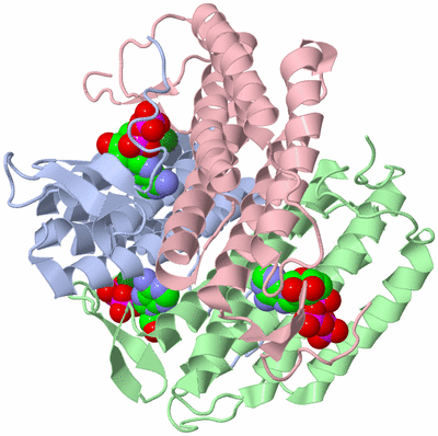 Image Asym./Biol. Unit