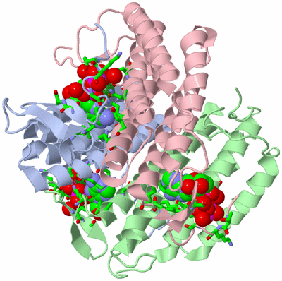 Image Asym./Biol. Unit - sites