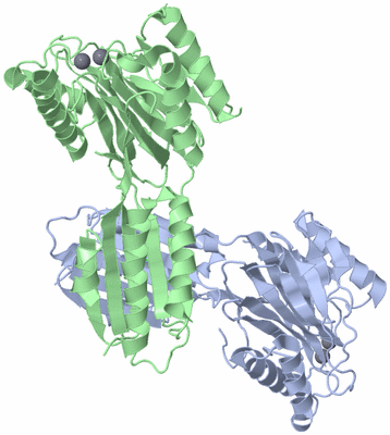 Image Biological Unit 3