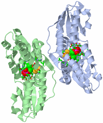 Image Biol. Unit 1 - sites