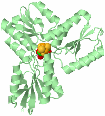 Image Biological Unit 3