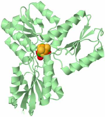 Image Biological Unit 2