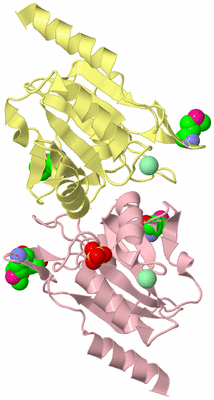 Image Biological Unit 2