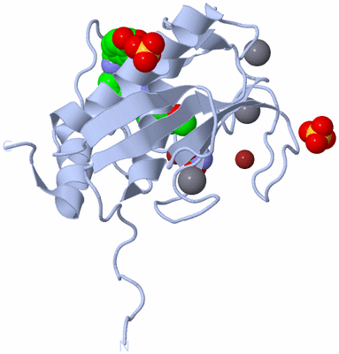 Image Biological Unit 1