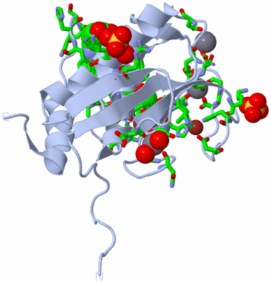 Image Biol. Unit 1 - sites