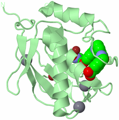 Image Biological Unit 2