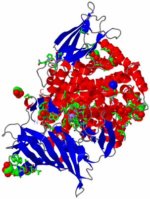 Image Asym./Biol. Unit - sites