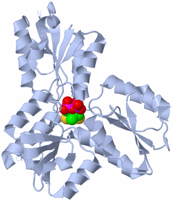 Image Biological Unit 2