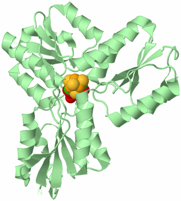 Image Biological Unit 3