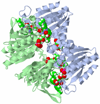 Image Biological Unit 2