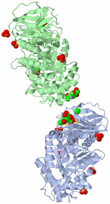 Image Biological Unit 1