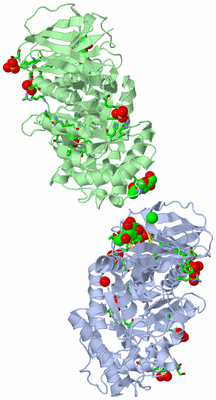 Image Biol. Unit 1 - sites