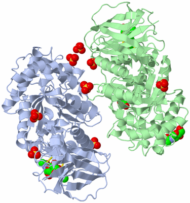 Image Biological Unit 2