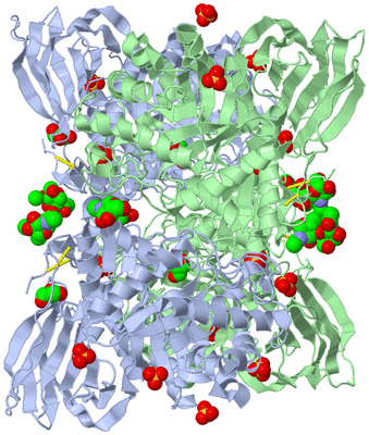 Image Biological Unit 3