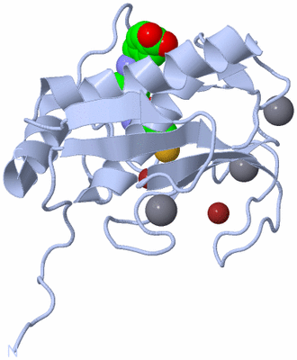 Image Biological Unit 1