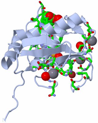 Image Biol. Unit 1 - sites