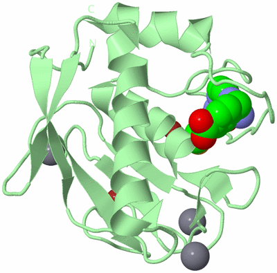 Image Biological Unit 2