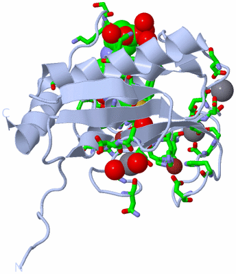 Image Biol. Unit 1 - sites