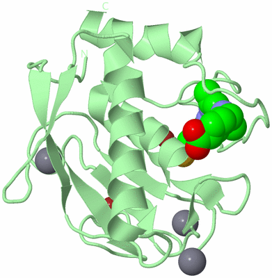 Image Biological Unit 2