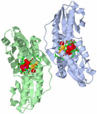 Image Biol. Unit 1 - sites