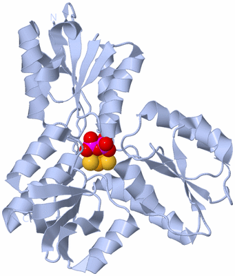 Image Biological Unit 2