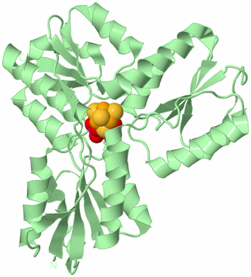 Image Biological Unit 3