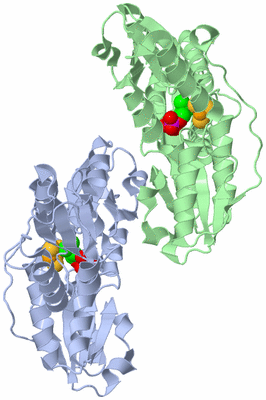 Image Biological Unit 1