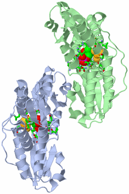 Image Biol. Unit 1 - sites