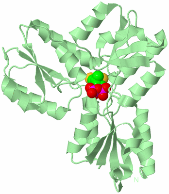 Image Biological Unit 3