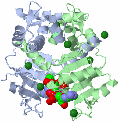 Image Asym./Biol. Unit