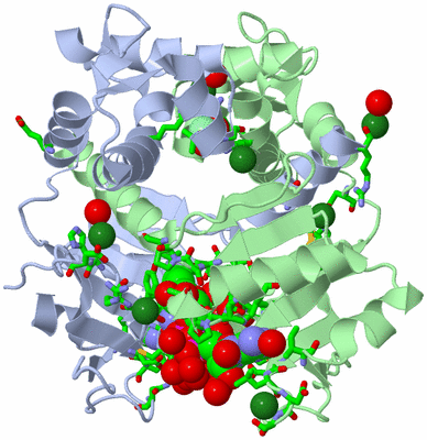 Image Asym./Biol. Unit - sites