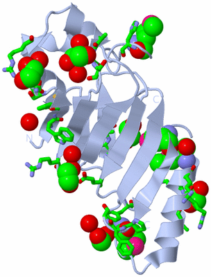 Image Biol. Unit 1 - sites