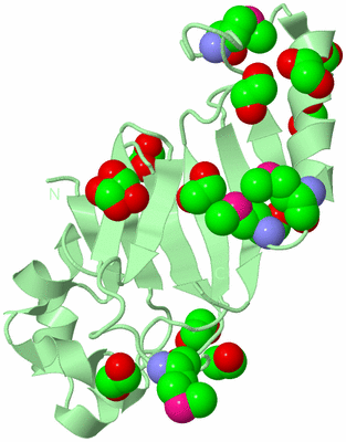 Image Biological Unit 2