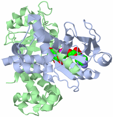 Image Asym./Biol. Unit