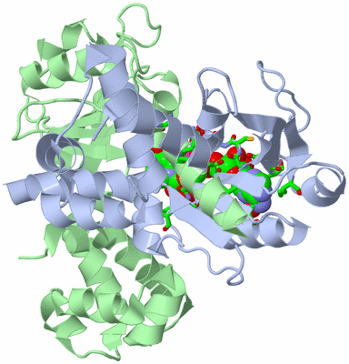 Image Asym./Biol. Unit - sites