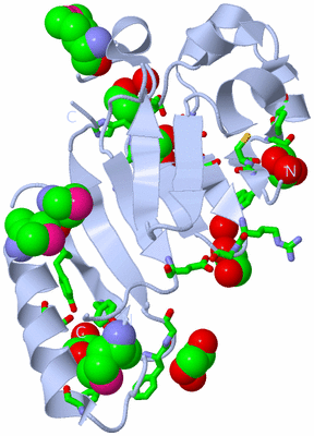 Image Biol. Unit 1 - sites