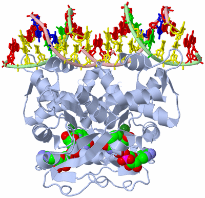 Image Biological Unit 1