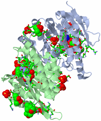 Image Asym./Biol. Unit - sites