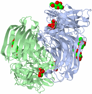 Image Asym./Biol. Unit