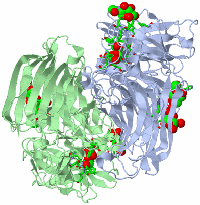 Image Asym./Biol. Unit - sites