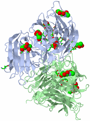 Image Asym./Biol. Unit - sites