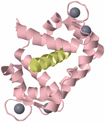 Image Biological Unit 2